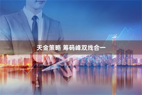 天金策略 筹码峰双线合一